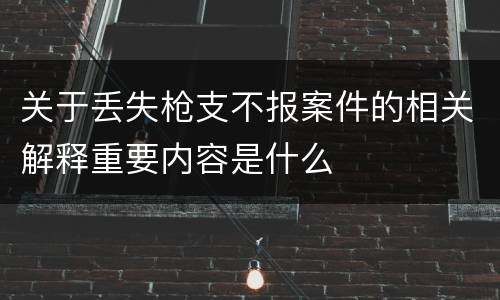 关于丢失枪支不报案件的相关解释重要内容是什么