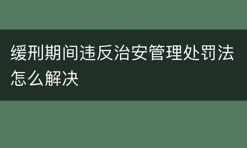 缓刑期间违反治安管理处罚法怎么解决