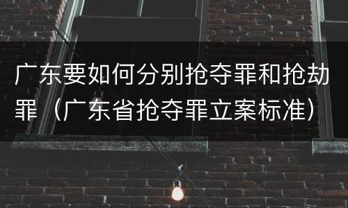 广东要如何分别抢夺罪和抢劫罪（广东省抢夺罪立案标准）