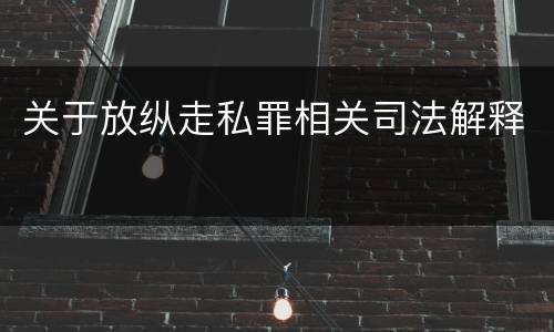 关于放纵走私罪相关司法解释
