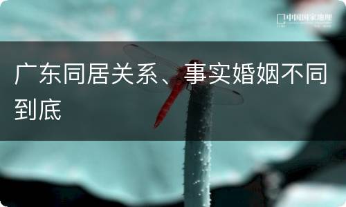 广东同居关系、事实婚姻不同到底