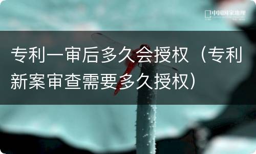 专利一审后多久会授权（专利新案审查需要多久授权）
