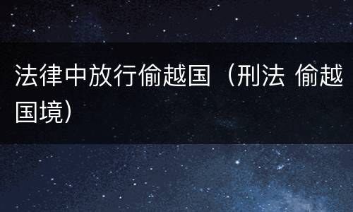 法律中放行偷越国（刑法 偷越国境）