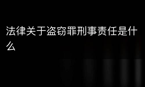 法律关于盗窃罪刑事责任是什么