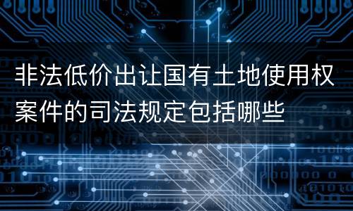 非法低价出让国有土地使用权案件的司法规定包括哪些
