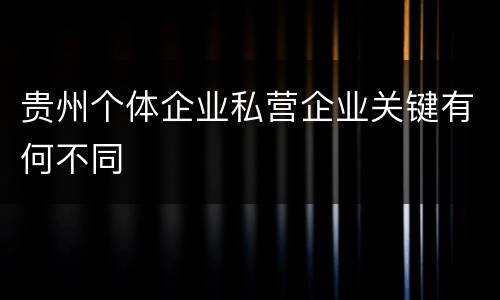 贵州个体企业私营企业关键有何不同