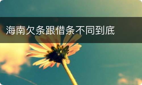 海南欠条跟借条不同到底