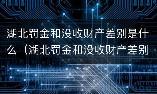 湖北罚金和没收财产差别是什么（湖北罚金和没收财产差别是什么呢）