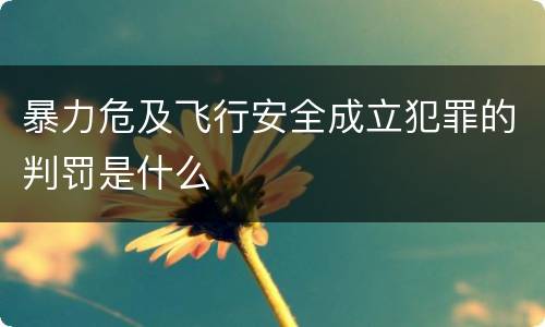暴力危及飞行安全成立犯罪的判罚是什么