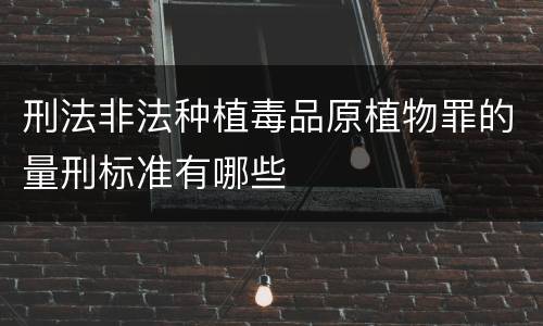 刑法非法种植毒品原植物罪的量刑标准有哪些