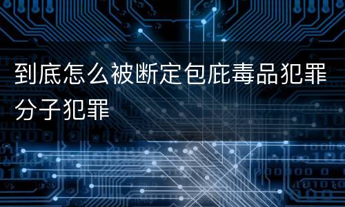 到底怎么被断定包庇毒品犯罪分子犯罪