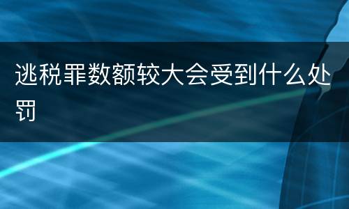 逃税罪数额较大会受到什么处罚