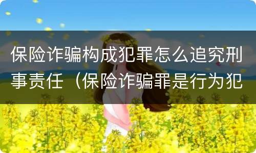 保险诈骗构成犯罪怎么追究刑事责任（保险诈骗罪是行为犯吗）