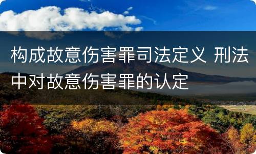 构成故意伤害罪司法定义 刑法中对故意伤害罪的认定