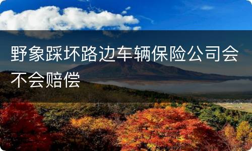 野象踩坏路边车辆保险公司会不会赔偿