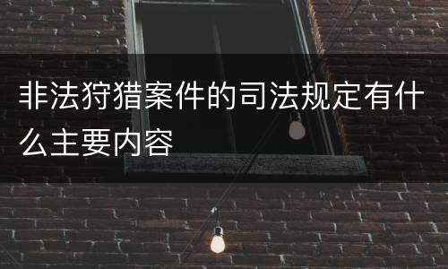 非法狩猎案件的司法规定有什么主要内容