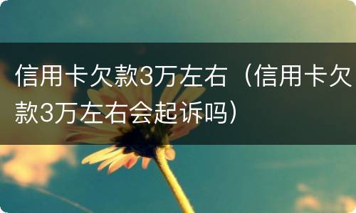 信用卡欠款3万左右（信用卡欠款3万左右会起诉吗）