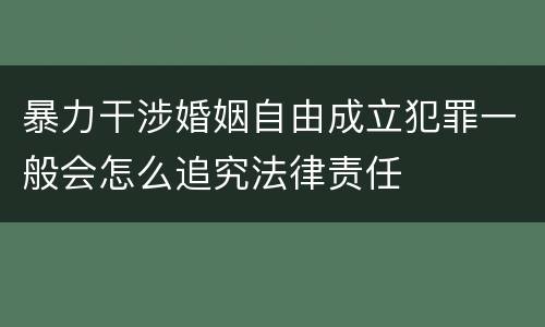 暴力干涉婚姻自由成立犯罪一般会怎么追究法律责任