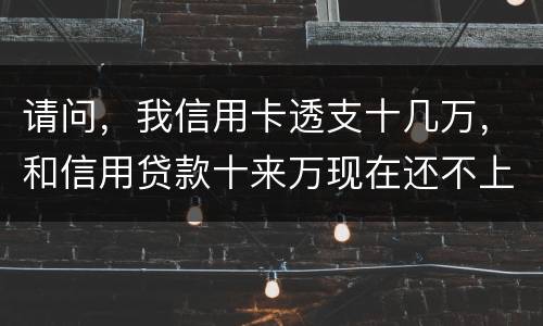 请问，我信用卡透支十几万，和信用贷款十来万现在还不上了。情节严重会咋样，怎么判刑