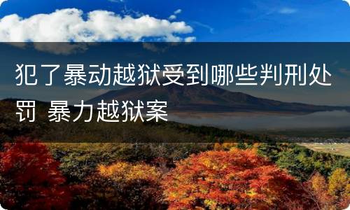 犯了暴动越狱受到哪些判刑处罚 暴力越狱案