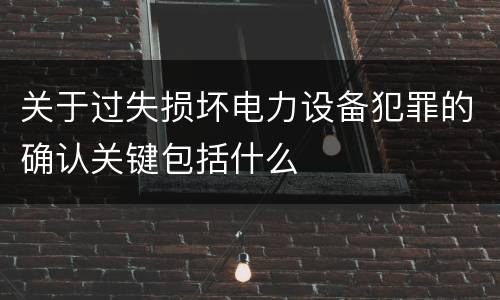 关于过失损坏电力设备犯罪的确认关键包括什么