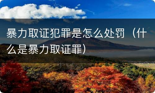 暴力取证犯罪是怎么处罚（什么是暴力取证罪）