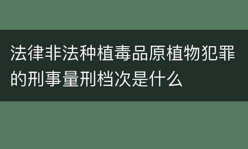 法律非法种植毒品原植物犯罪的刑事量刑档次是什么