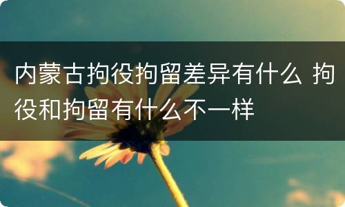内蒙古拘役拘留差异有什么 拘役和拘留有什么不一样