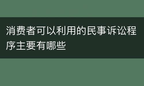 消费者可以利用的民事诉讼程序主要有哪些