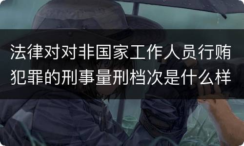 法律对对非国家工作人员行贿犯罪的刑事量刑档次是什么样的