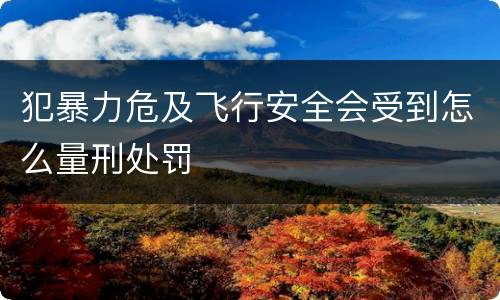 犯暴力危及飞行安全会受到怎么量刑处罚