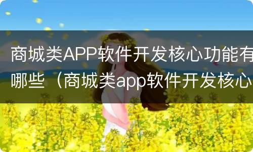 商城类APP软件开发核心功能有哪些（商城类app软件开发核心功能有哪些类型）