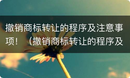 撤销商标转让的程序及注意事项！（撤销商标转让的程序及注意事项怎么写）