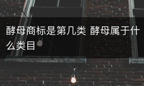 酵母商标是第几类 酵母属于什么类目