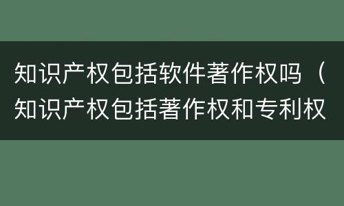 知识产权包括软件著作权吗（知识产权包括著作权和专利权）