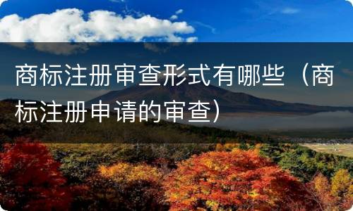 商标注册审查形式有哪些（商标注册申请的审查）