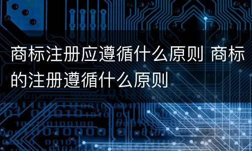 商标注册应遵循什么原则 商标的注册遵循什么原则