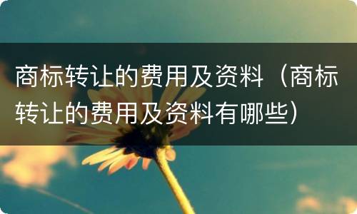 商标转让的费用及资料（商标转让的费用及资料有哪些）