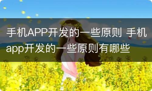手机APP开发的一些原则 手机app开发的一些原则有哪些