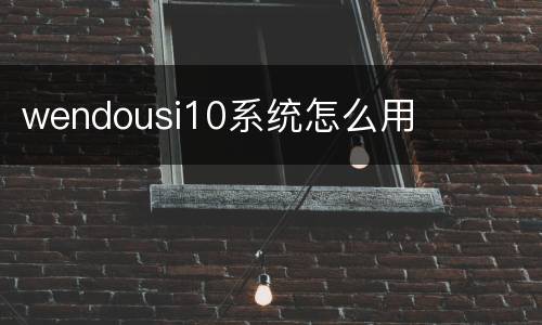 wendousi10系统怎么用