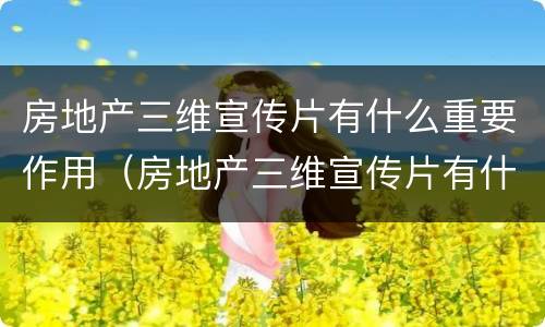 房地产三维宣传片有什么重要作用（房地产三维宣传片有什么重要作用和意义）