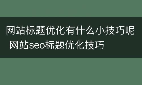 网站标题优化有什么小技巧呢 网站seo标题优化技巧