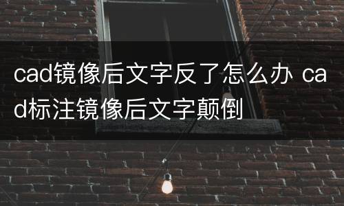 cad镜像后文字反了怎么办 cad标注镜像后文字颠倒