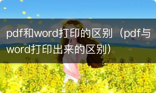 pdf和word打印的区别（pdf与word打印出来的区别）
