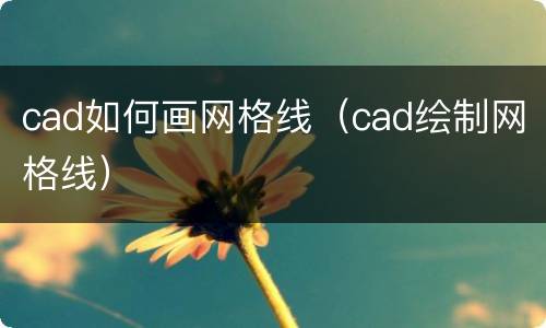 cad如何画网格线（cad绘制网格线）