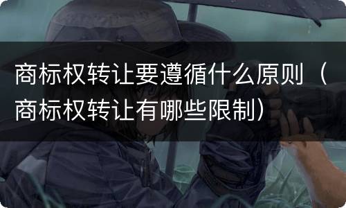 商标权转让要遵循什么原则（商标权转让有哪些限制）