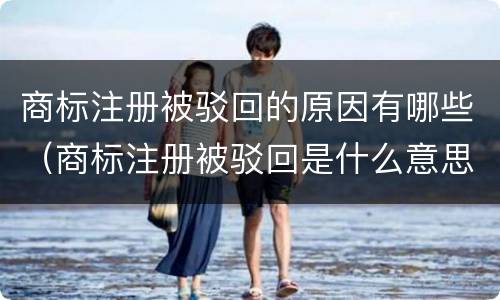 商标注册被驳回的原因有哪些（商标注册被驳回是什么意思）