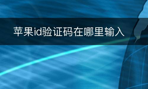   苹果id验证码在哪里输入