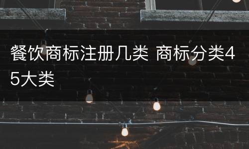 餐饮商标注册几类 商标分类45大类