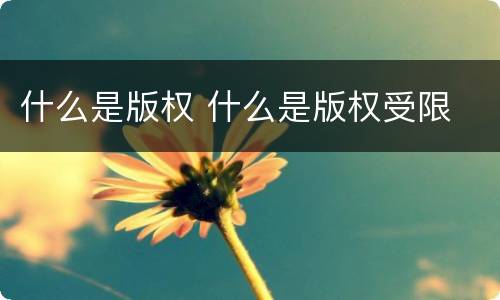 什么是版权 什么是版权受限